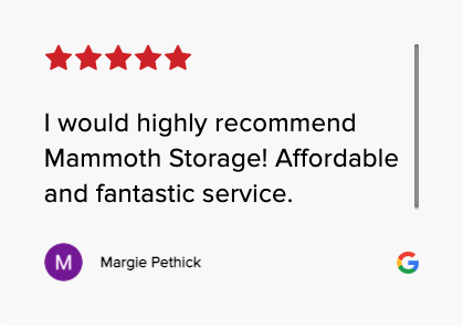 mammoth storage customer review 12