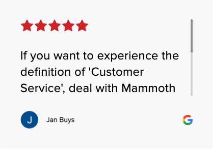 mammoth storage customer review 5