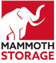 mammoth storage logo